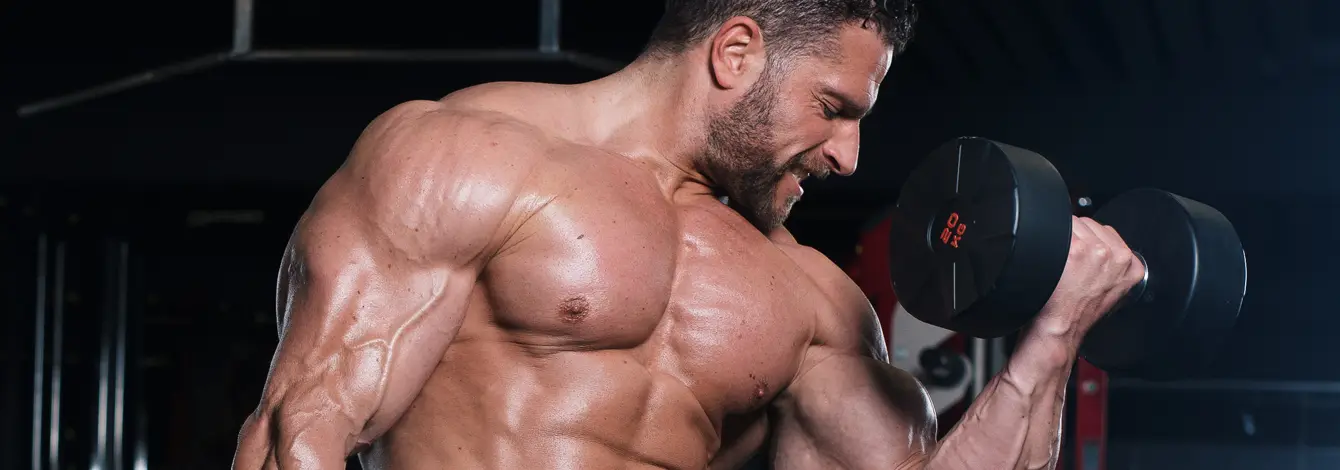 Weider Nutrition