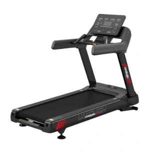 BH Vanquish PRO Treadmill