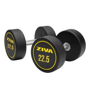 Ziva Performance rubber round dumbbell (pair) (Weight: 22.5kg)