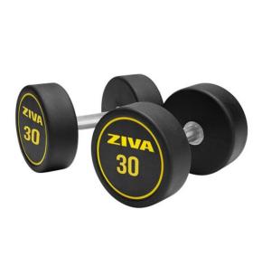 Ziva Performance rubber round dumbbell (pair) (Weight: 30kg)