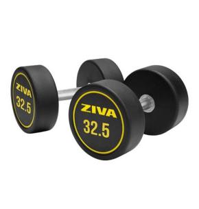 Ziva Performance rubber round dumbbell (pair)