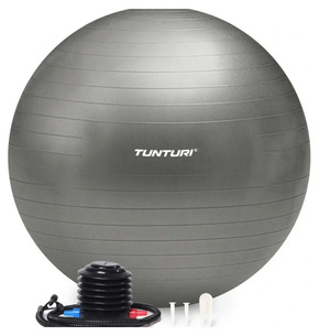 Tunturi Gymball Anti Burst Including Pump 90 CM, Silver