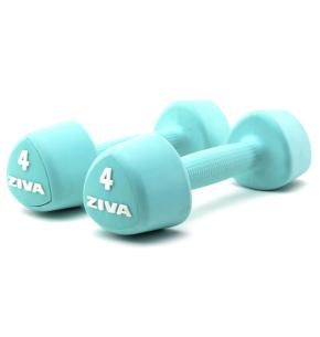 Ziva Chic Dumbbell Studio Turquoise (pair)