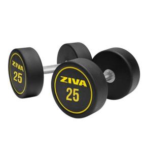 Ziva Performance rubber round dumbbell (pair) (Weight: 25kg)