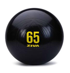 Fitball Ziva Negro Classic