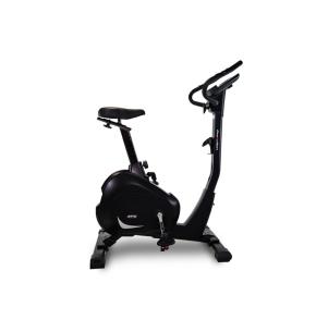 BH Artic Dual Exercise Bike