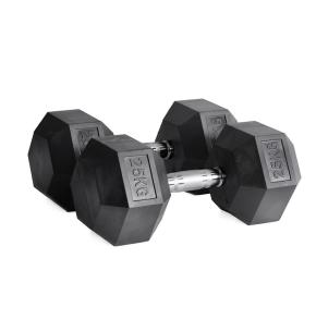 Ruster Rubber Hex Dumbbells (pair)  (Weight: 25kg)