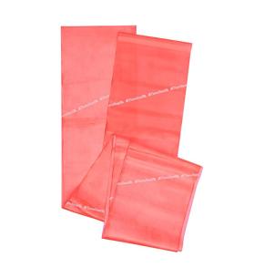 Theraband Red Elastic Band (Bag+Manual) 2.5 m (Resistance: Level 2)