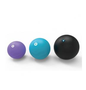 Pelota de ejercicio LIVEPRO