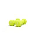 Ruster Hexagonal neoprene dumbbells (pair) (Weight: 1kg)