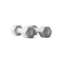 Ruster Studio Hexagonal Iron Dumbbells (pair) (Weight: 4kg)